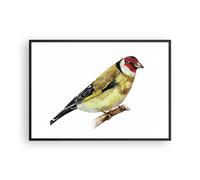 Affiche Poster 100x70cm Tableaux Image Photo Chardonneret Oiseau Aquarelle Art