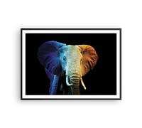 Affiche Poster 100x70cm Tableaux Image Photo Coloré Éléphant Photographie Art