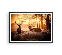 Affiche Poster 100x70cm Tableaux Image Photo Deer bruyère animaux Wall Art