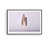 Affiche Poster 100x70cm Tableaux Image Photo Deux Plumes Lilas Wall Art