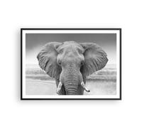 Affiche Poster 100x70cm Tableaux Image Photo Éléphant Afrique Des Animaux Art
