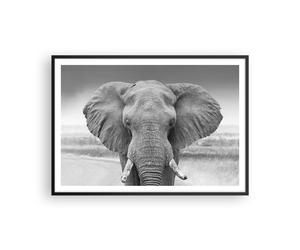 Affiche Poster 100x70cm Tableaux Image Photo Éléphant Afrique Des Animaux Art