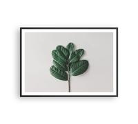Affiche Poster 100x70cm Tableaux Image Photo Feuilles Plantes Botanique Wall Art