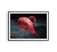 Affiche Poster 100x70cm Tableaux Image Photo Flamant Rose Rose Oiseau Wall Art