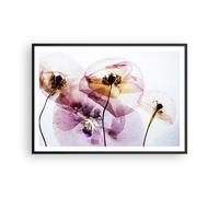 Affiche Poster 100x70cm Tableaux Image Photo fleur été nature Wall Art