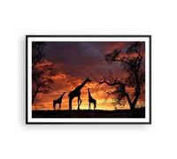 Affiche Poster 100x70cm Tableaux Image Photo Girafe Afrique Soleil Safari Art