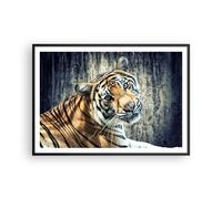 Affiche Poster 100x70cm Tableaux Image Photo Inde pierre tigre sauvage Wall Art