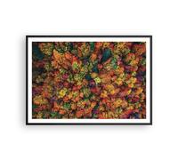 Affiche Poster 100x70cm Tableaux Image Photo L'Automne Point De Vue Aviaire Art