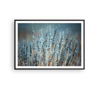Affiche Poster 100x70cm Tableaux Image Photo Lavande Lame Fleur Wall Art
