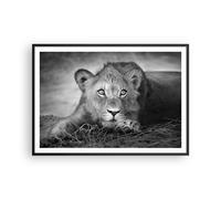 Affiche Poster 100x70cm Tableaux Image Photo Lion Asie Portrait Wall Art
