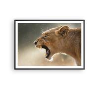 Affiche Poster 100x70cm Tableaux Image Photo Lion Lionne Crocs Wall Art