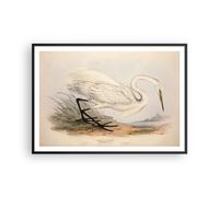 Affiche Poster 100x70cm Tableaux Image Photo Oiseau blanc héron Wall Art