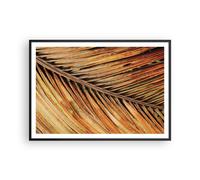 Affiche Poster 100x70cm Tableaux Image Photo Orange Feuille Tropical Wall Art