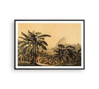 Affiche Poster 100x70cm Tableaux Image Photo Palmiers Forest Des Pluies Wall Art