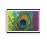 Affiche Poster 100x70cm Tableaux Image Photo Paons Plume Arc En Ciel Wall Art