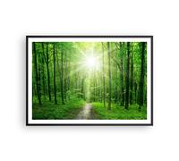 Affiche Poster 100x70cm Tableaux Image Photo Rayons du soleil forêt été Wall Art