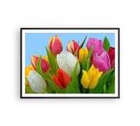 Affiche Poster 100x70cm Tableaux Image Photo Tulipes Bouquet fleurs rosée Art