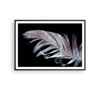 Affiche Poster 100x70cm Tableaux Image Plume Les Couleurs La Délicatesse Art