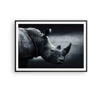 Affiche Poster 100x70cm Tableaux Image Rhinocéros Noir Et Blanc Portrait Art