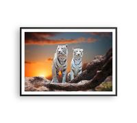 Affiche Poster 100x70cm Tableaux Image Tigres blanc roche coucher de soleil Art
