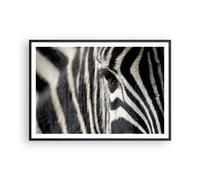 Affiche Poster 100x70cm Tableaux Image Zebra rayures vie sauvage safari Art