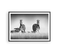 Affiche Poster 100x70cm Tableaux Image Zèbres Photographie Noir Et Blanc Art