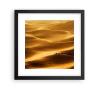 Affiche Poster 30x30cm Tableaux Image Photo Afrique sahara chameau paysage Art