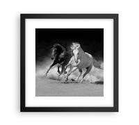 Affiche Poster 30x30cm Tableaux Image Photo Andalouse Chevaux Galop Wall Art