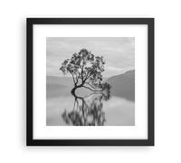 Affiche Poster 30x30cm Tableaux Image Photo Arbre Symétrie Lac Wall Art