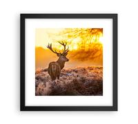 Affiche Poster 30x30cm Tableaux Image Photo Automne paysage nature feuille Art