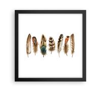 Affiche Poster 30x30cm Tableaux Image Photo Blanc Arrière Plan Plumes Wall Art