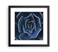 Affiche Poster 30x30cm Tableaux Image Photo Bleu Cactus Fleur Wall Art