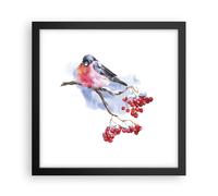 Affiche Poster 30x30cm Tableaux Image Photo Bouvreuil On Branche Wall Art