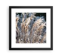 Affiche Poster 30x30cm Tableaux Image Photo Canne Épis De Maïs Boho Wall Art