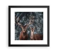 Affiche Poster 30x30cm Tableaux Image Photo Cerf renne chevreuil Wall Art