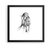 Affiche Poster 30x30cm Tableaux Image Photo Cheval Galop Des Animaux Wall Art