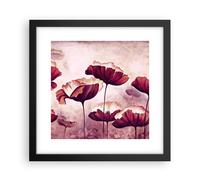 Affiche Poster 30x30cm Tableaux Image Photo coquelicot fleur prairie Wall Art