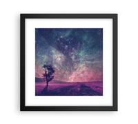 Affiche Poster 30x30cm Tableaux Image Photo Cosmos Arbre Prairie Wall Art