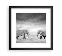 Affiche Poster 30x30cm Tableaux Image Photo Éléphants Noir Et Blanc Safari Art