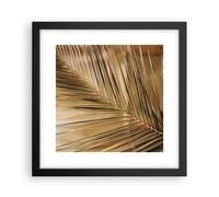 Affiche Poster 30x30cm Tableaux Image Photo Feuille Or Plante Wall Art