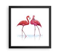 Affiche Poster 30x30cm Tableaux Image Photo Flamants Roses Rose Couple Wall Art
