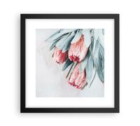 Affiche Poster 30x30cm Tableaux Image Photo Fleur Eucalyptus Australien Wall Art