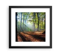 Affiche Poster 30x30cm Tableaux Image Photo Forêt Feuilles Soleil Wall Art