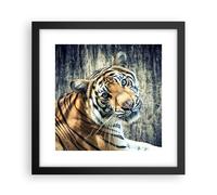 Affiche Poster 30x30cm Tableaux Image Photo Inde pierre tigre sauvage Wall Art