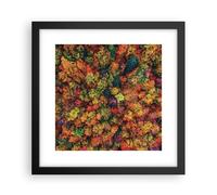 Affiche Poster 30x30cm Tableaux Image Photo L'Automne Point De Vue Aviaire Art