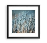 Affiche Poster 30x30cm Tableaux Image Photo Lavande Lame Fleur Wall Art