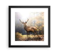 Affiche Poster 30x30cm Tableaux Image Photo Lumière Cerf Forêt Wall Art