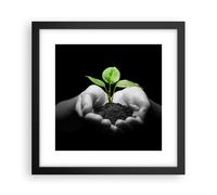 Affiche Poster 30x30cm Tableaux Image Photo Nature plante science protection Art