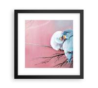 Affiche Poster 30x30cm Tableaux Image Photo Oiseaux Bleu Branche Wall Art