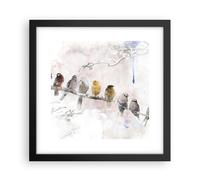 Affiche Poster 30x30cm Tableaux Image Photo Oiseaux Canaries Branche Wall Art